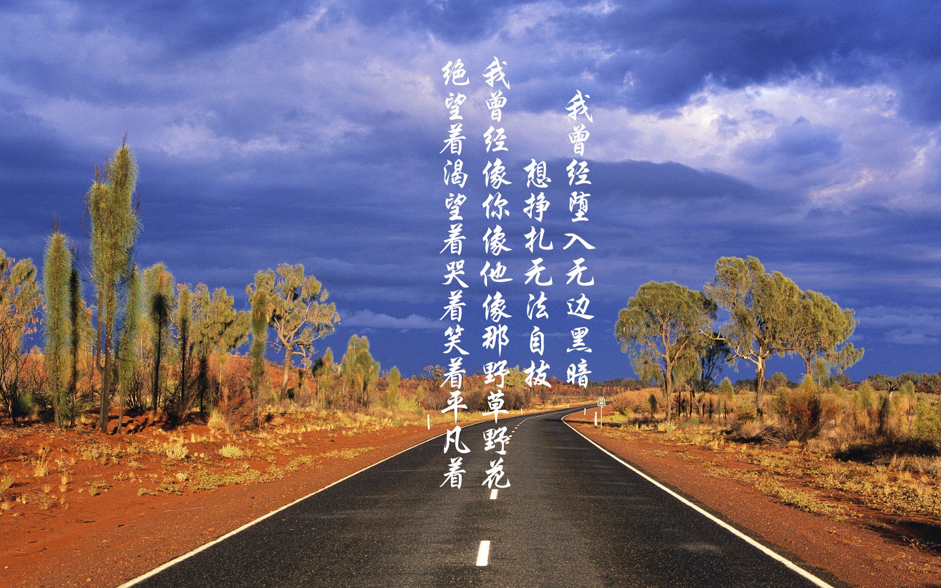 _拼搏到底：极限耐力赛激发运动员斗志_，极限耐力跑世界第一人