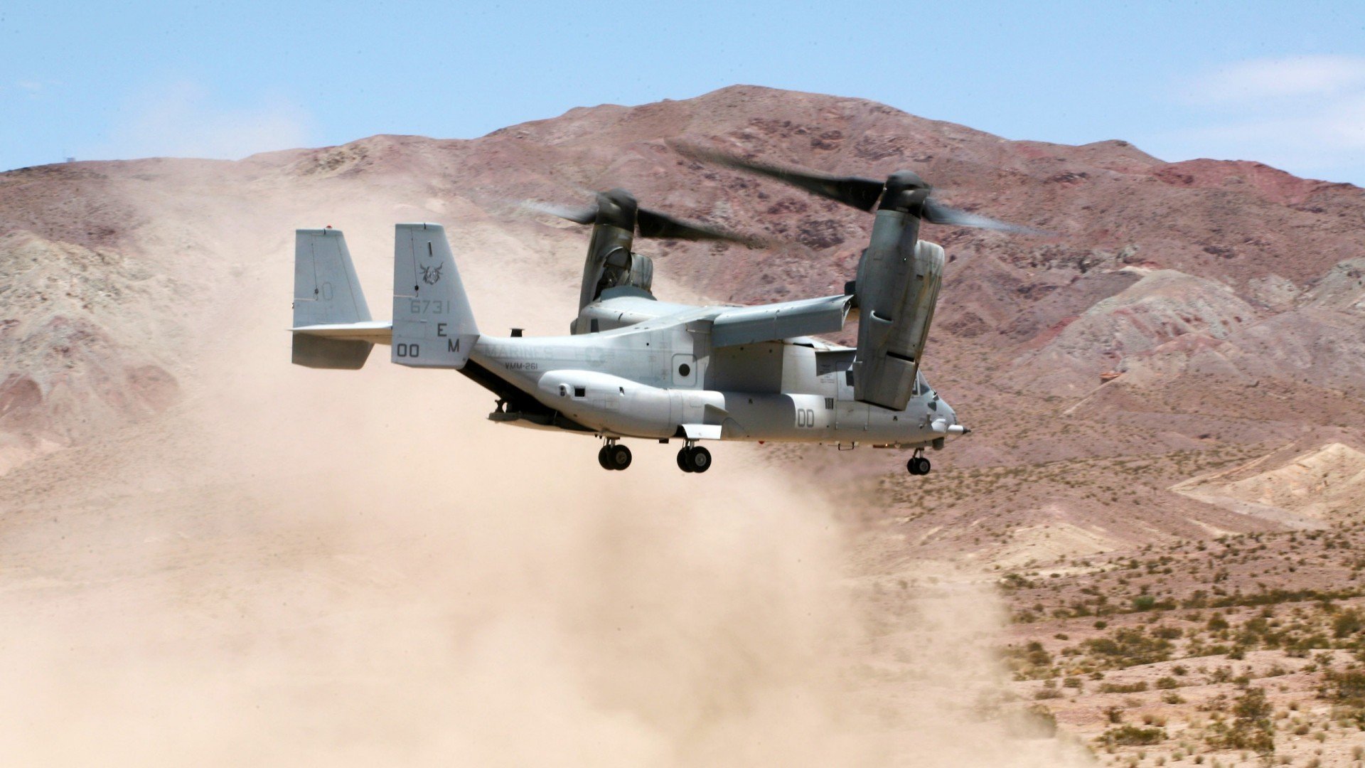 开云体育-_鹈鹕队新援表现抢眼，球队士气大振_，鹈鹕队新闻