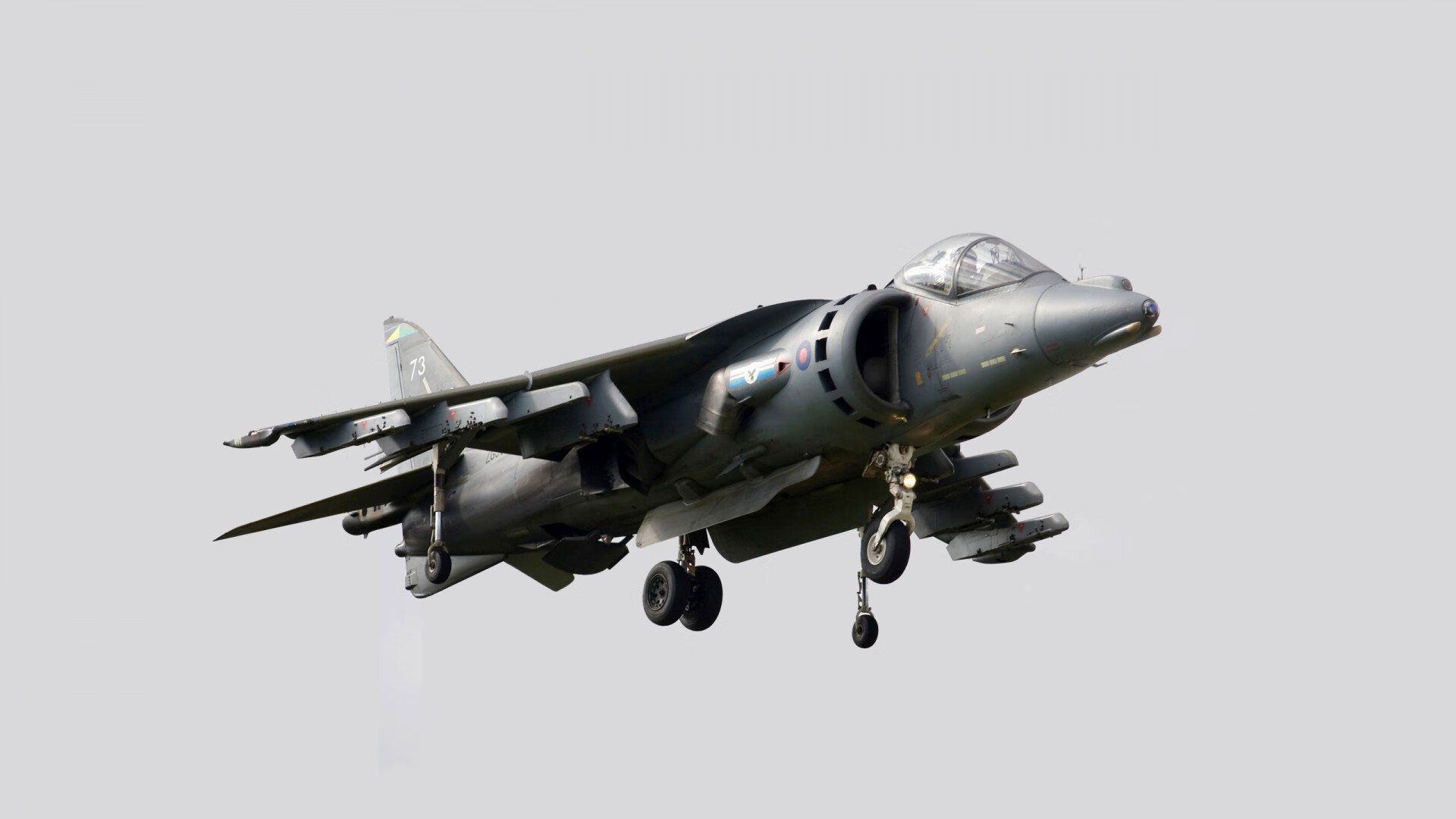 开云体育APP下载-_鹈鹕不断磨合，实力逐步提升_，鹈鹕秒懂