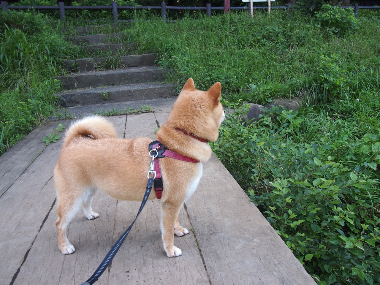 开云网页版-史上最“爆炸”的个人表现：谁的单场难以超越？，史上爆炸排名