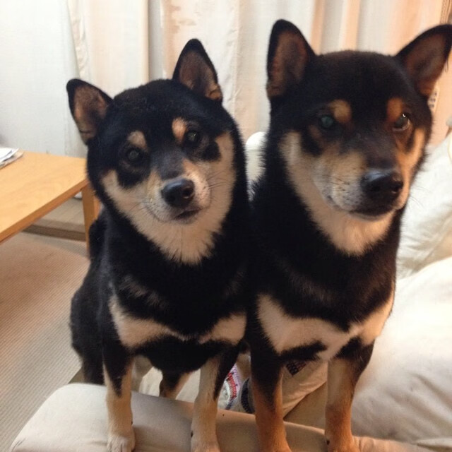 库里助力勇士夺取多个总冠军,开启“水花兄弟”盛世,库里水花组合