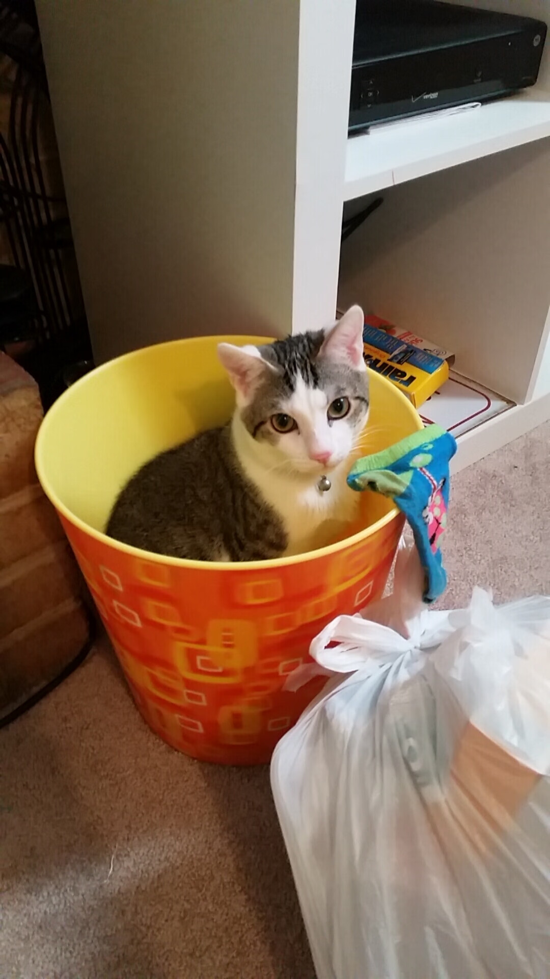 kaiyun官方网站-影响深远：联盟最新版“反兴奋剂”政策详解，反兴奋剂药物