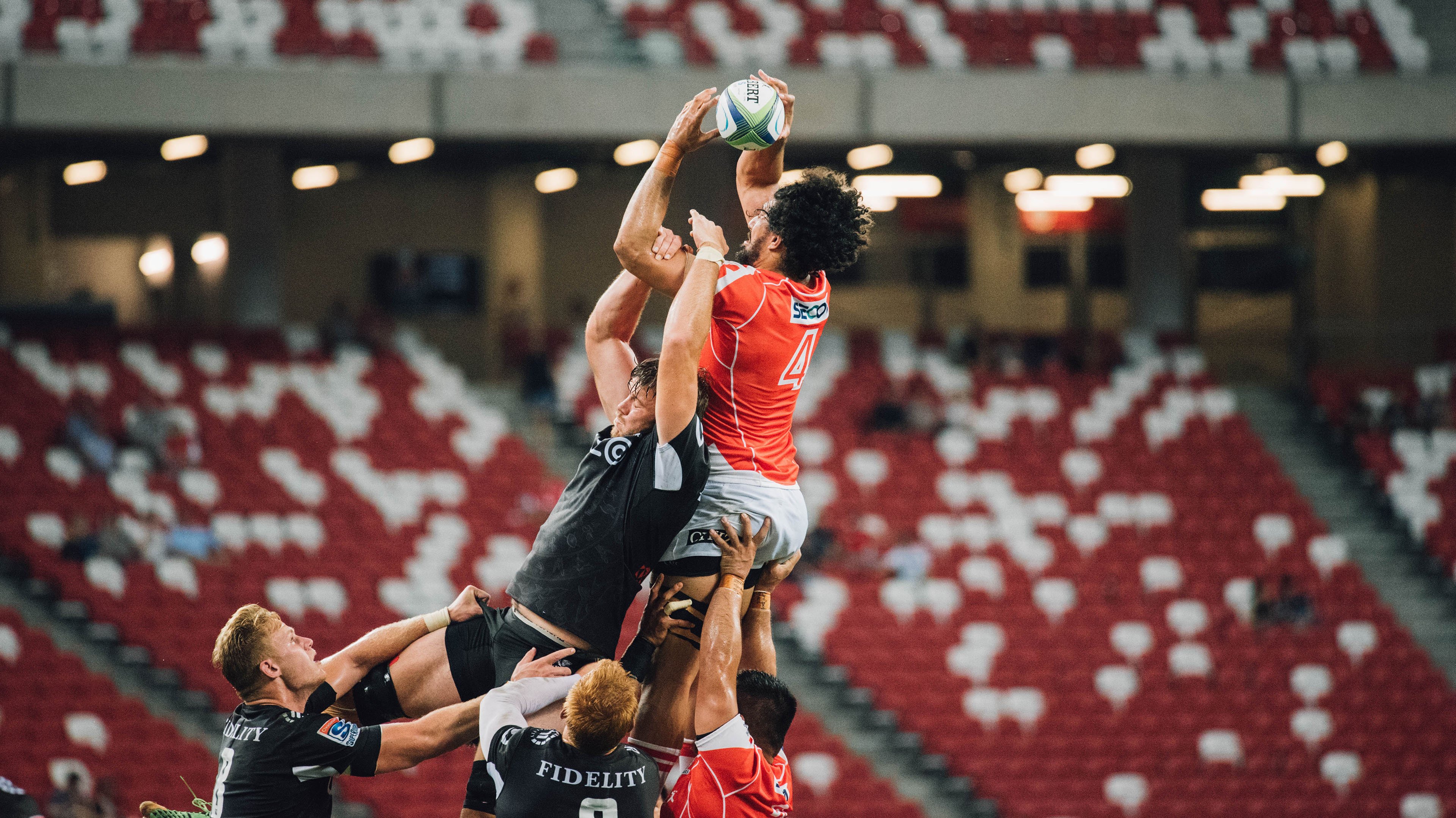 掘金核心举办“宠物慈善赛”，萌宠与篮球同台