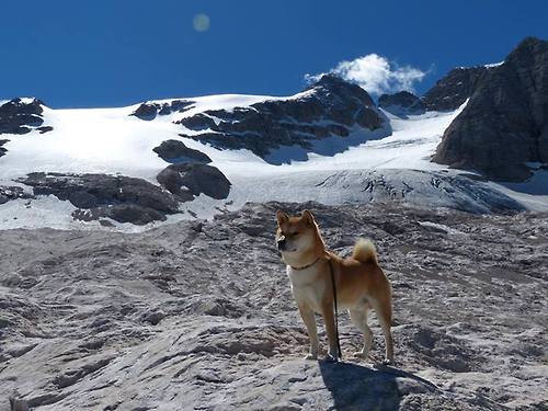 开云网页版-游泳世锦赛新纪录频出，张雨霏200蝶摘金，2019年游泳世锦赛张雨霏
