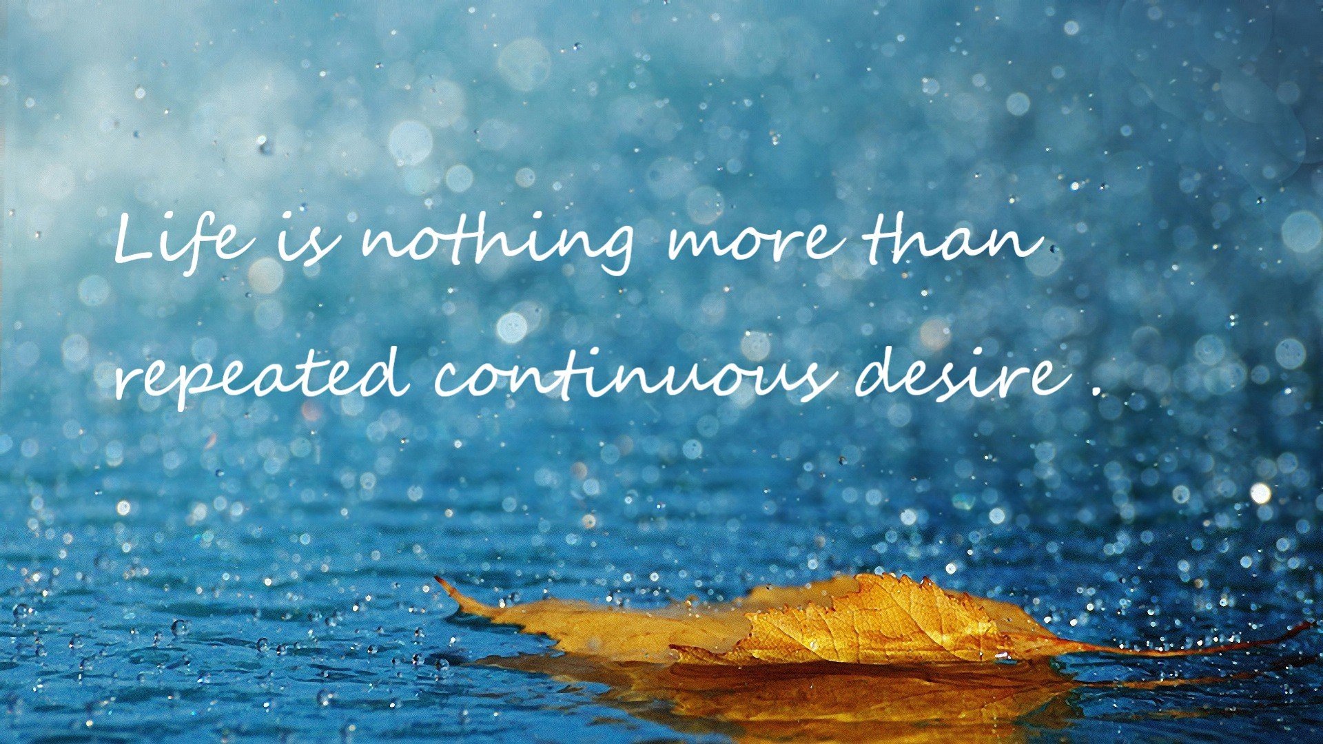 Kaiyun APP-特色篮球节庆在全国多地轮番上演，弘扬运动精神与文化传承，篮球文化艺术节