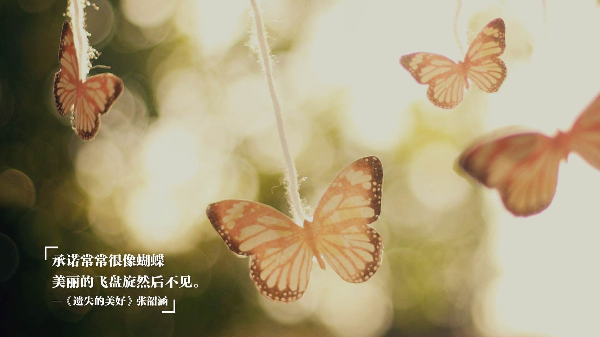 莱万再刷纪录：德甲史上第一射手扩展到第240球，德甲莱万破纪录