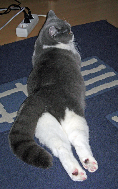 开云·体育官网APP下载-赛后专访：李明坦言“团队合作是获胜关键”，球员 李明