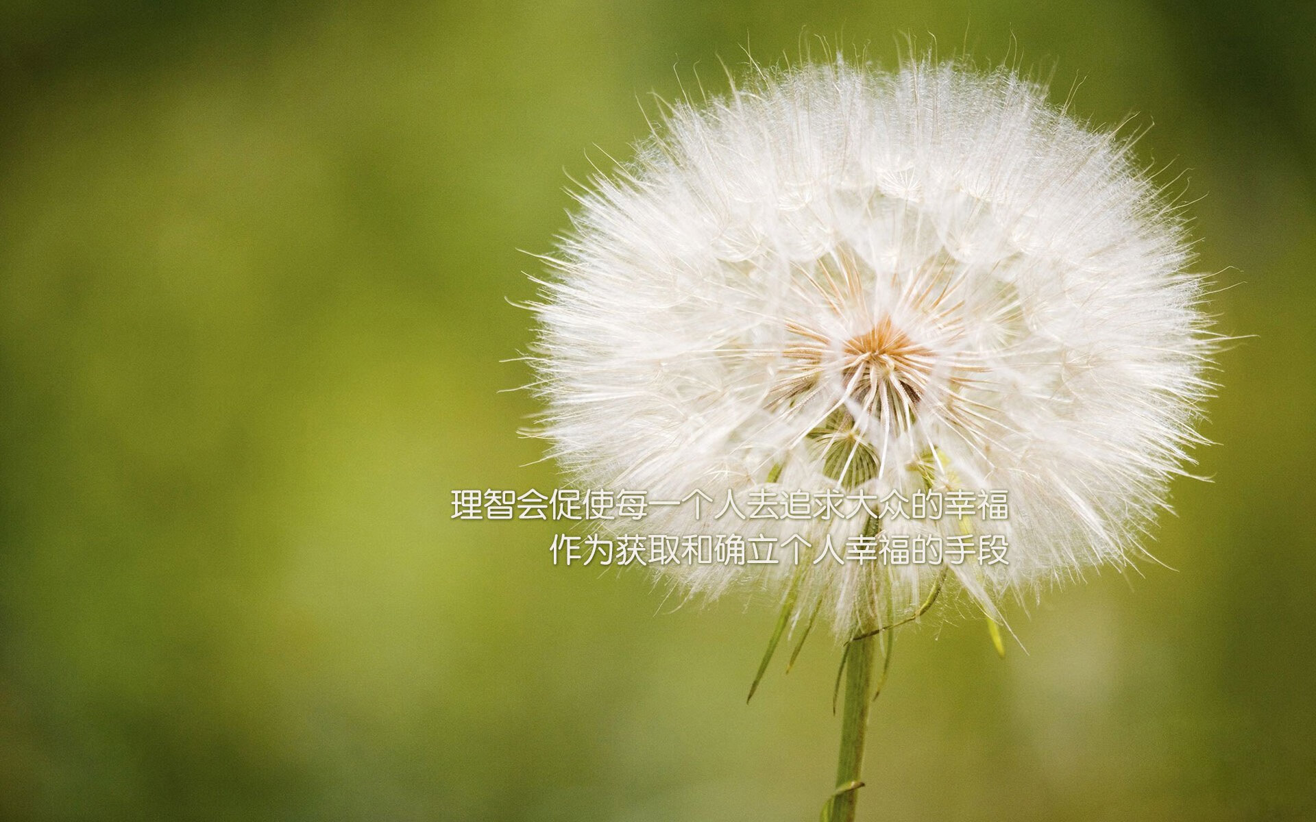 赛前热身：运动员的专业准备过程揭秘，运动员做哪些赛前准备