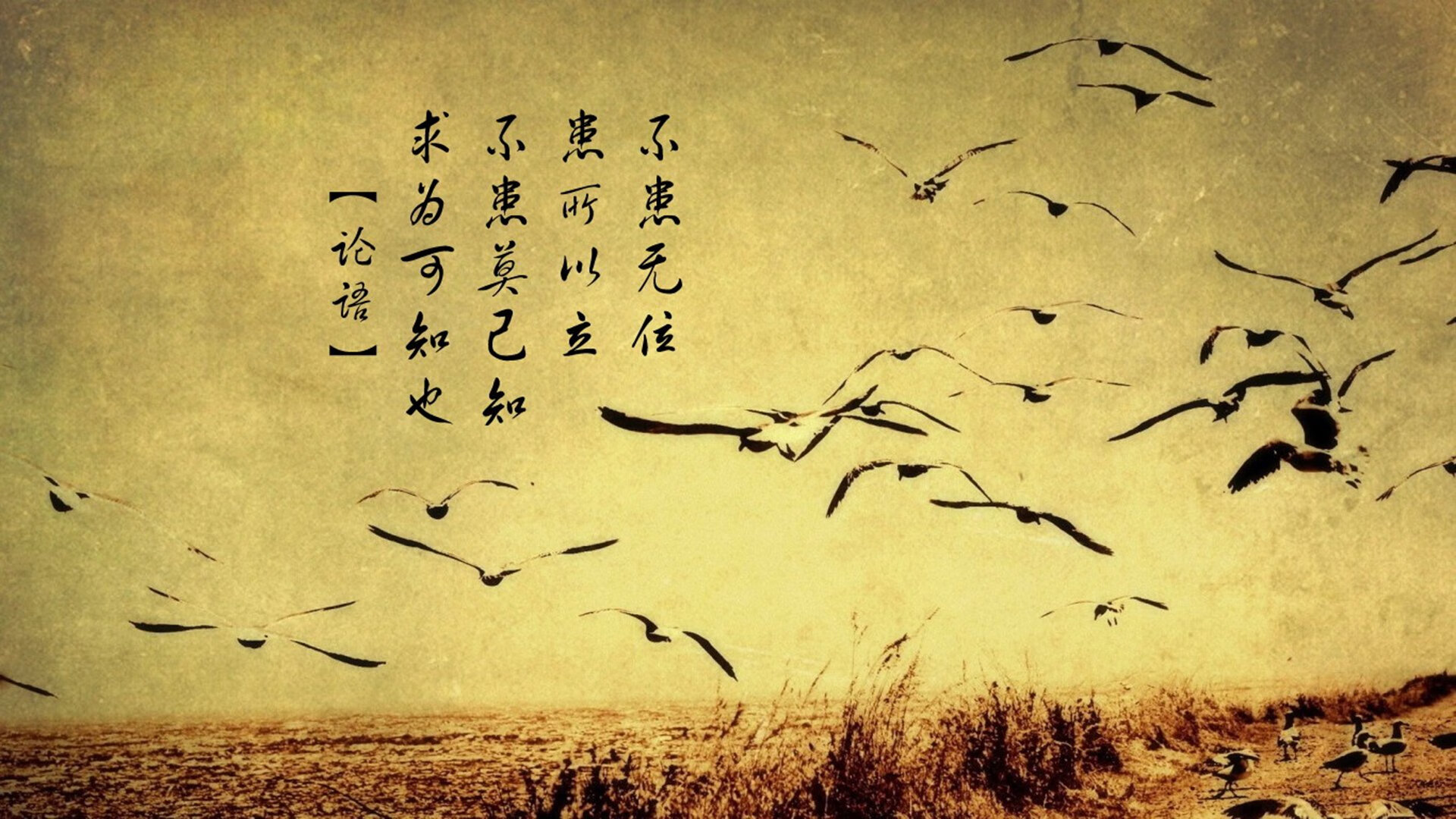 开云官方网站-RNG新人多面手表现亮眼，rng第几出线