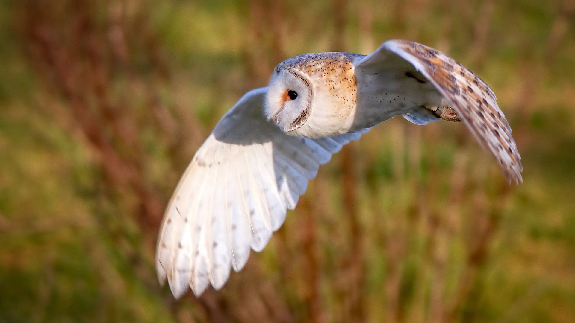 kaiyun开云·官方网站-RNG战队携手体育高校共建人才选拔机制，rng战队合同