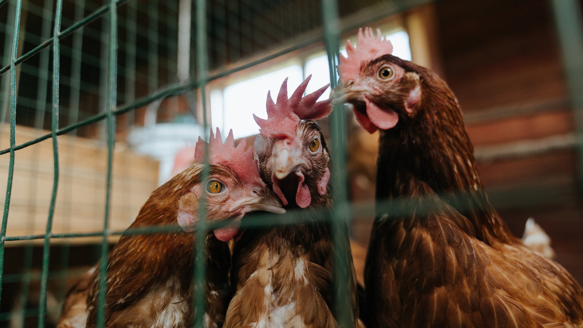 中国足球的媒体传播策略,足球媒体简介