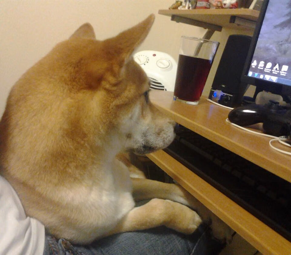 开云体育APP下载-俄罗斯球队在本土联赛中一路高歌猛进，势不可挡，俄罗斯国家球队