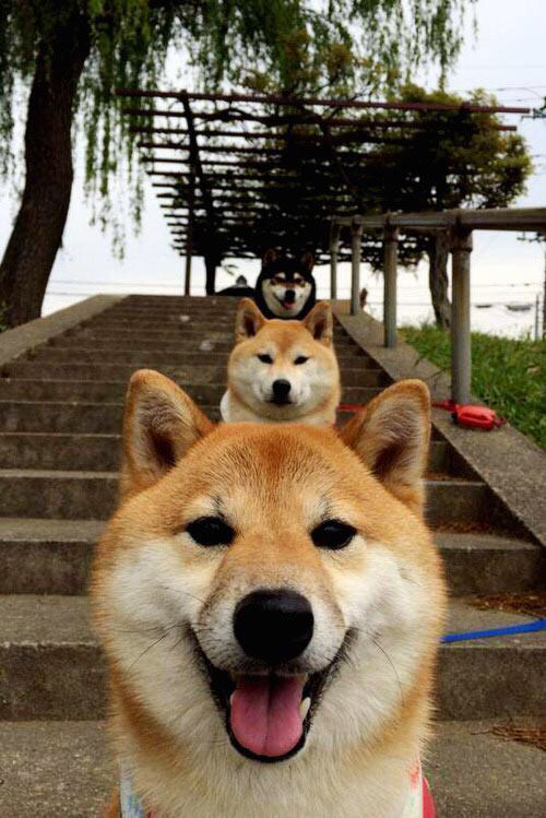 利物浦连扳三球，完胜尤文图斯！，利物浦连扳三球,完胜尤文图斯比赛结果