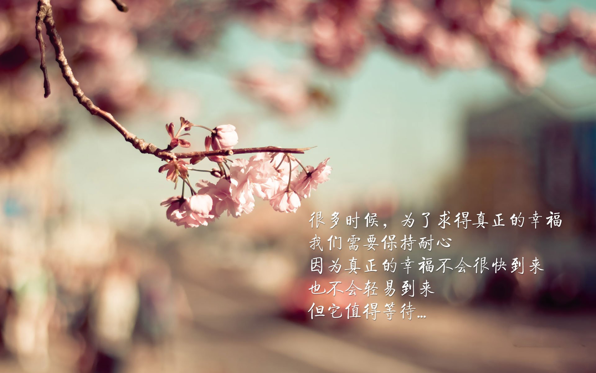 卡利亚里防守稳固,逼平劲旅尤文图斯保持不败,尤文卡利亚里集锦