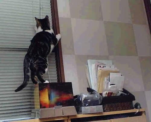 kaiyun登录入口-哥伦比亚女足在巴黎奥运会上展现出强大的团队协作能力，哥伦比亚足球美女