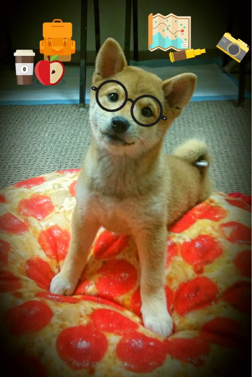 快船击败太阳,总决赛中乔治三分雨不断,快船乔治打什么位置