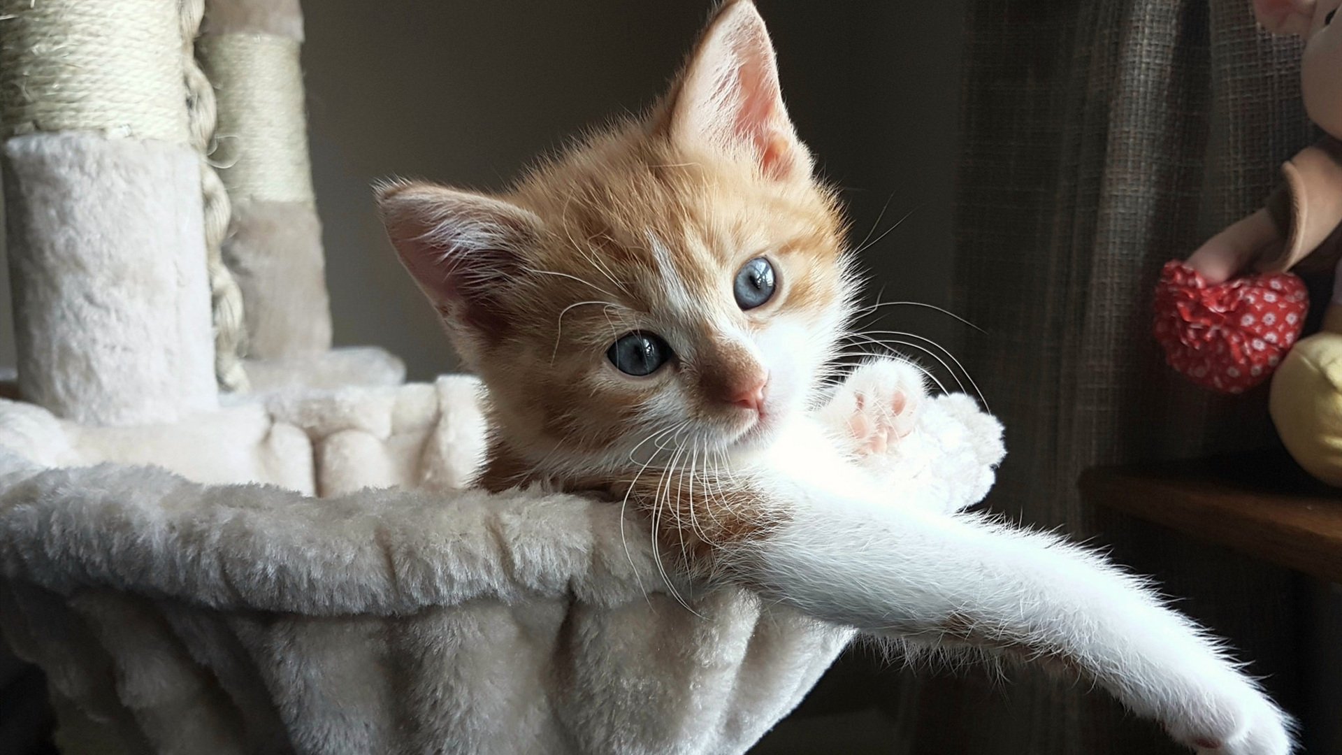 拜仁慕尼黑客场不敌马拉加,失利遗憾,拜仁慕尼黑vs马德里竞技在线播放