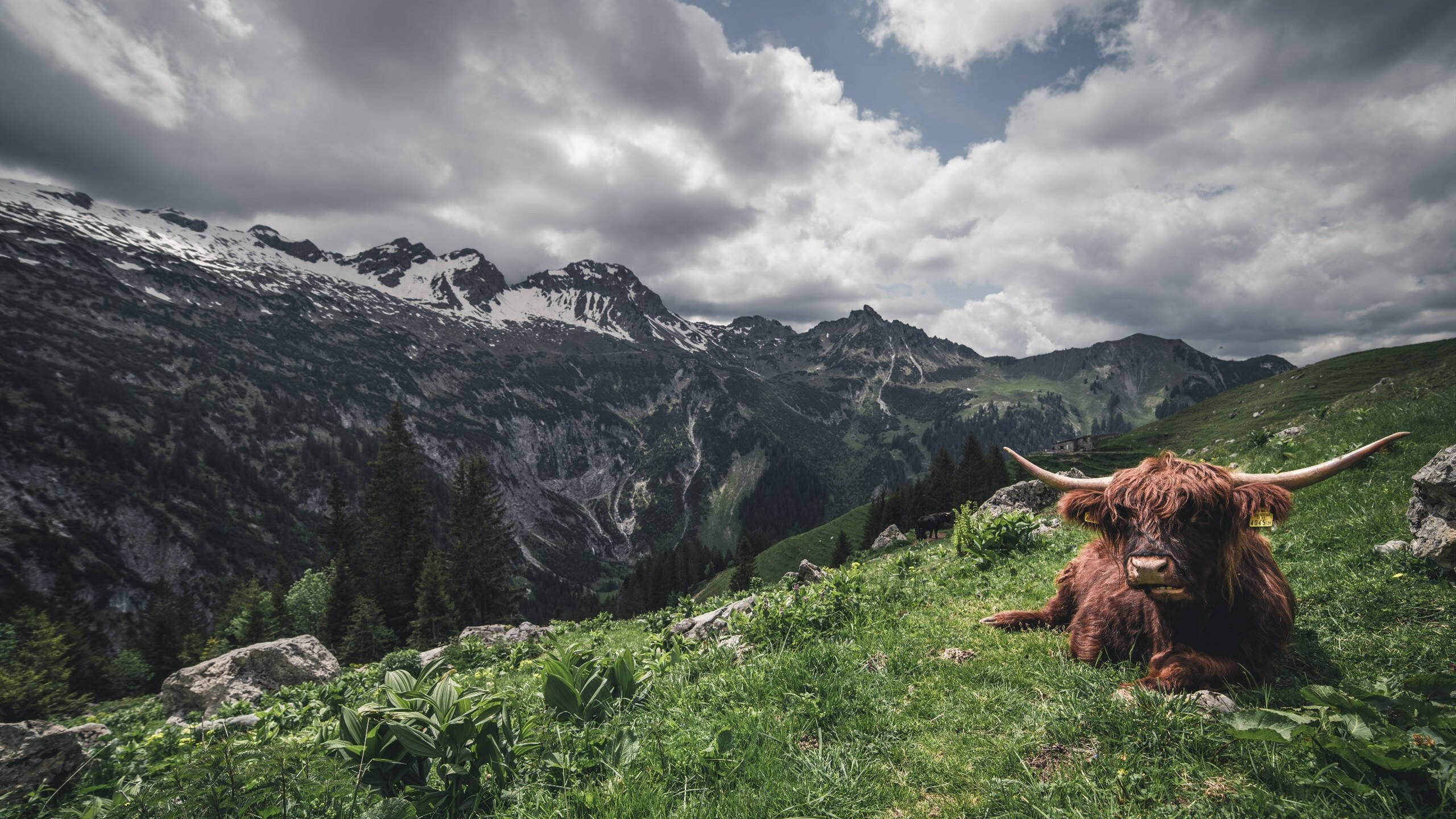曼城头号射手阿圭罗蝉联英超金靴，赛季表现抢眼，阿圭罗是曼城队长吗