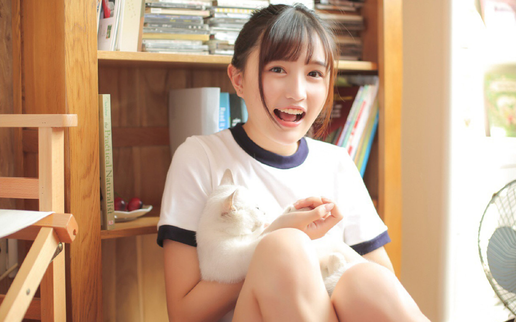 是否应允许球员中途复出参赛,球队的谁可以请求中断比赛