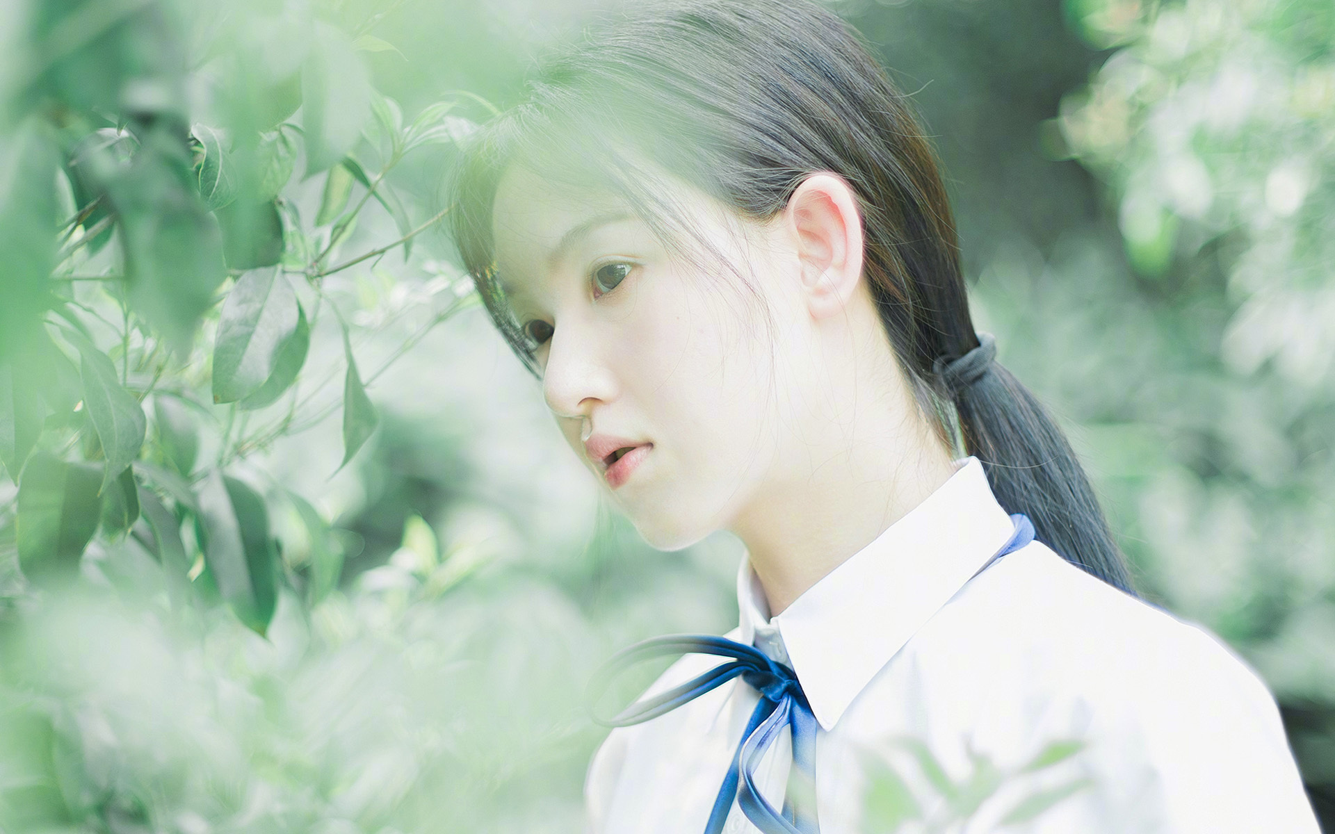 曲折戏剧性的比赛,谁能笑到最后,戏曲折扇图片