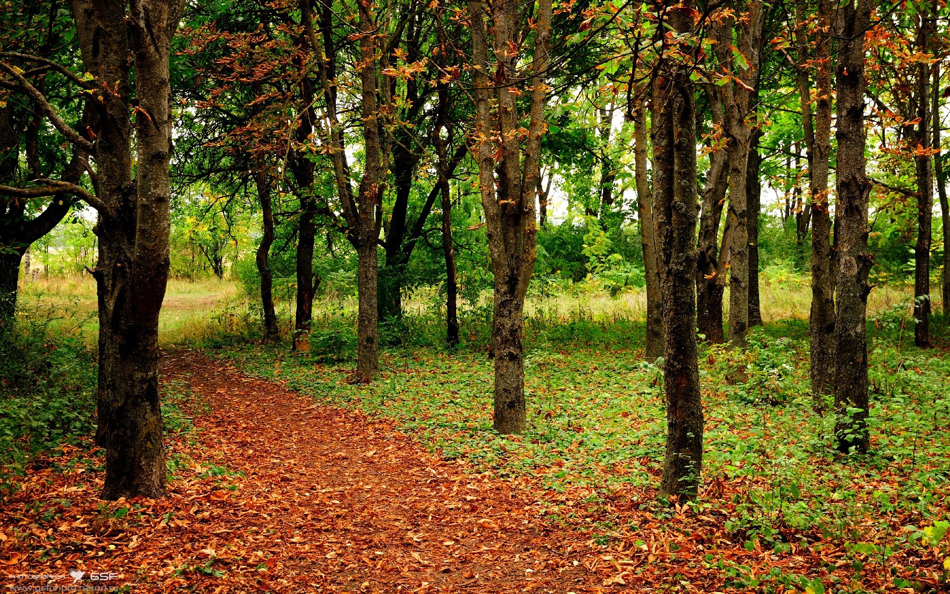 最新足球赛况：女子比赛中的巅峰表现！，女子足球视频