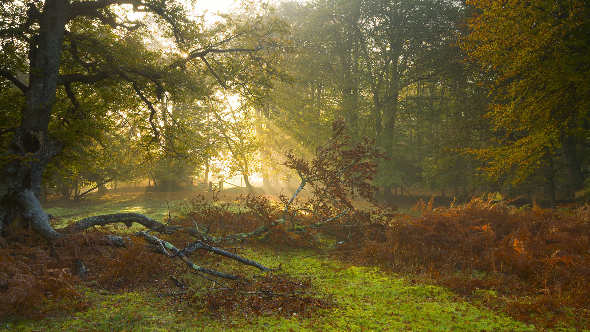 湖北队惜败长沙，遗憾止步季后赛，2021年湖北篮球联赛