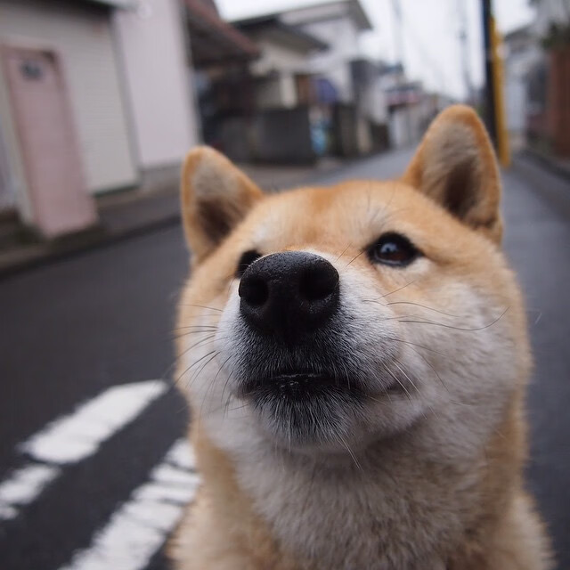 电竞职业选手饮食营养与体能训练结合的科学指导，电竞选手伙食