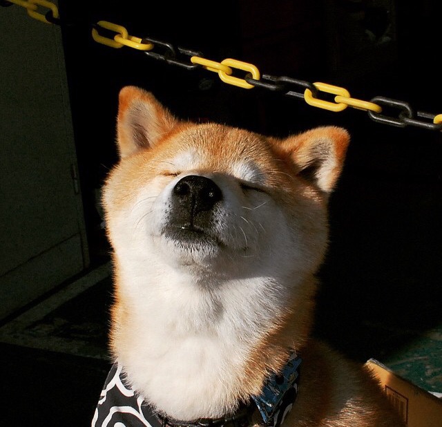 kaiyun官方入口登录-电竞游戏设计中竞技平衡与玩家公平体验的双重保障，电子竞技的赛事公平性体现在哪几个方面_