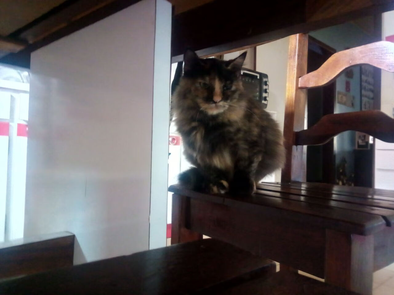 阿根廷主帅变动频繁，球队状态堪忧，阿根廷队主力