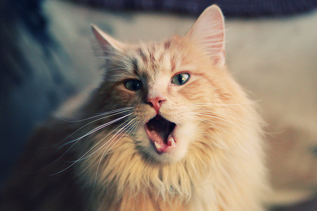 中国足球比赛场上节奏分布数据，足球节奏变化过人