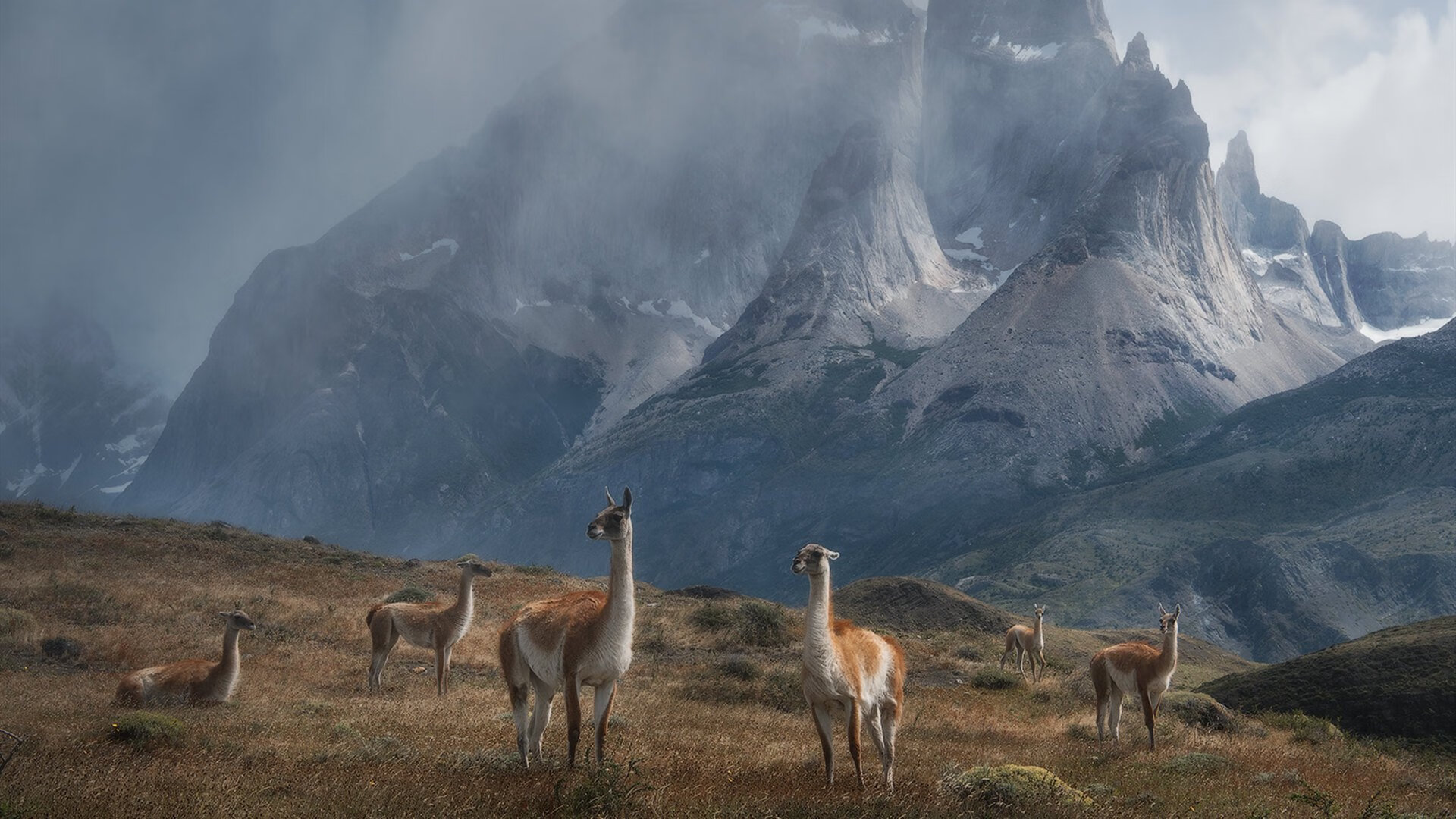 校园体育活动对学生心理健康及情绪调节的影响,分析学校体育对学生身心和社会适应的影响