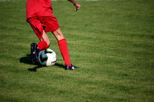 KAIYUNAPP-篮球运动员专项技能训练课程体系创新探索，篮球专项训练方案