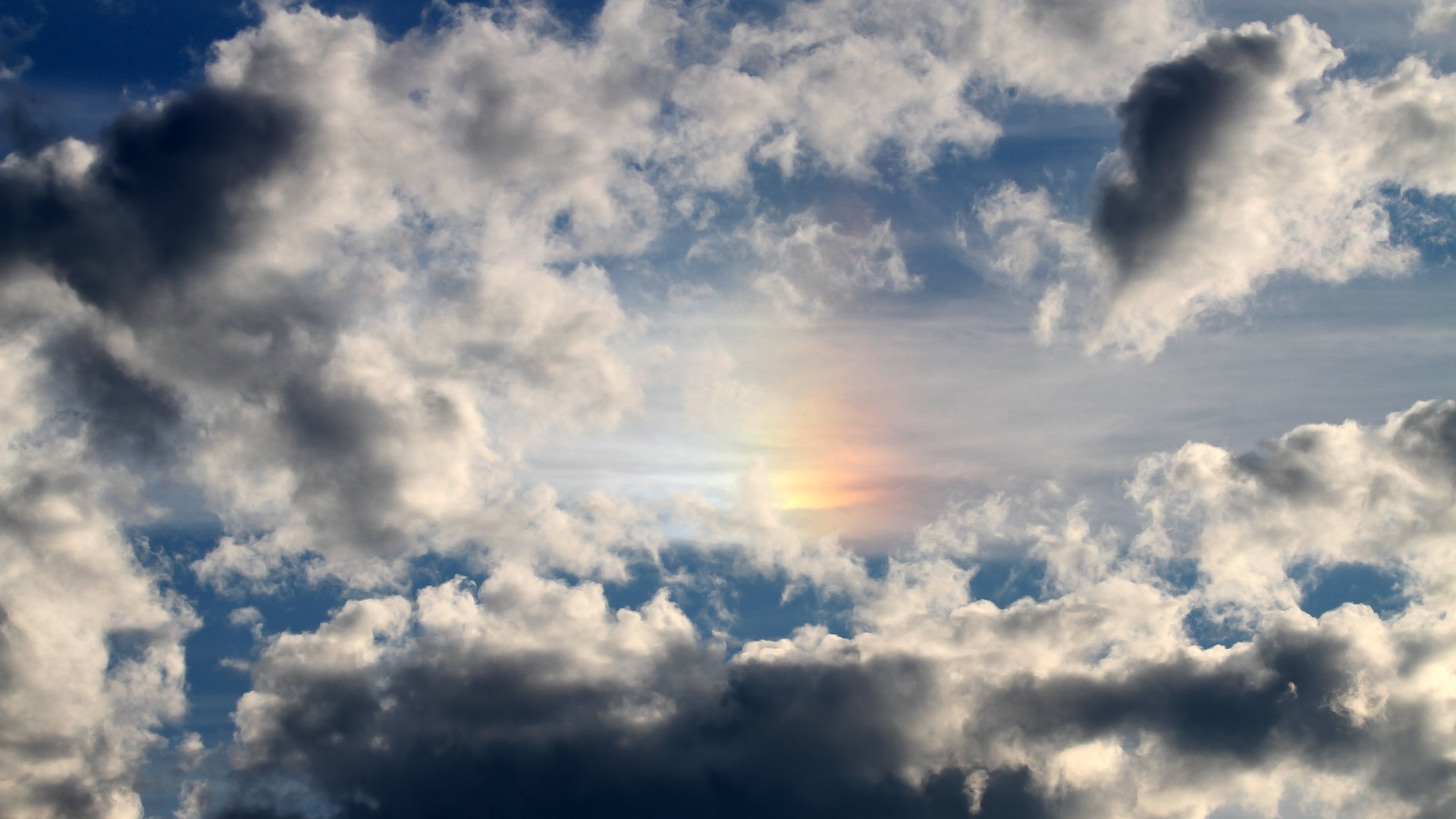 球员临场判断力为何未能系统训练，球员临场判断力为何未能系统训练呢