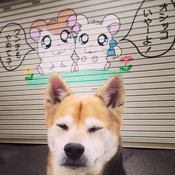 主力球员罚球稳定,进攻终结能力佳,罚球状态