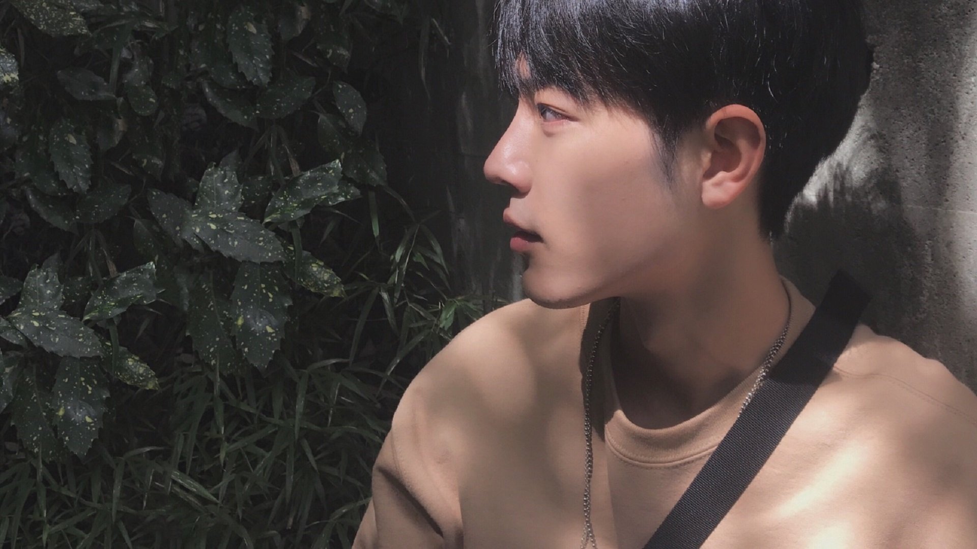 仰泳选手滑行延长,动作连贯,仰泳划水路线