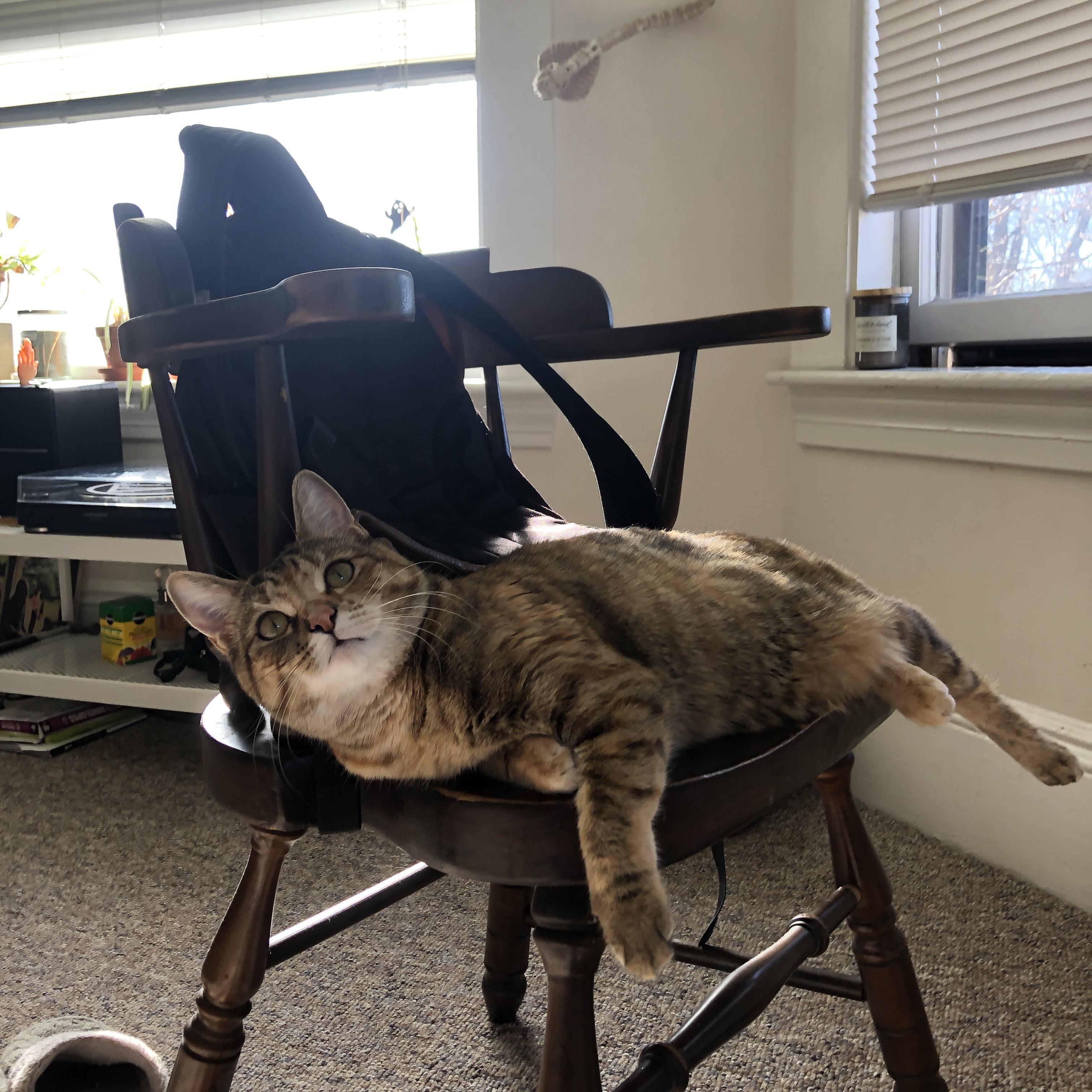 开云网站-国际足球裁判培训实现全面数字化，执法水平稳步提升，足球裁判员培训班