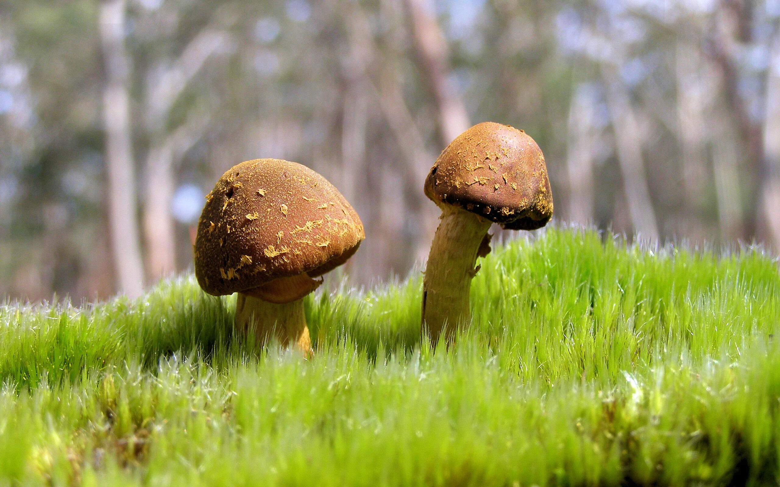 马拉松赛事环保倡议影响持续扩大，马拉松环保活动主题