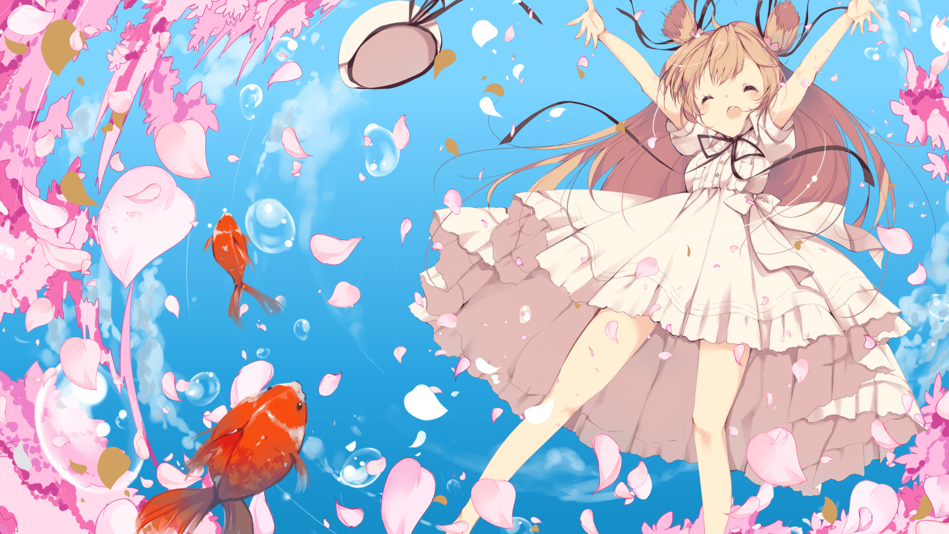 麦金托什女子800米自由泳表现无懈可击，加拿大游泳运动员麦金托什